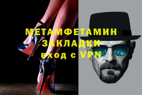 прущие грибы Володарск