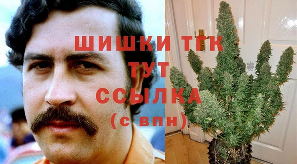 прущие грибы Володарск