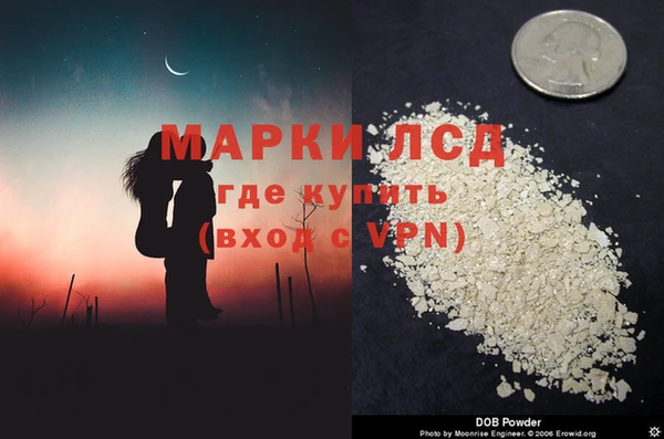 прущие грибы Володарск