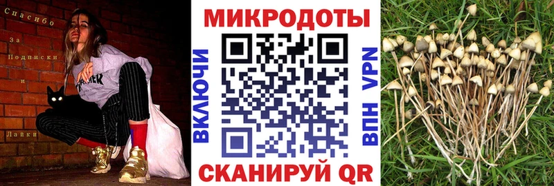 даркнет сайт  Муром  mega ссылка  Галлюциногенные грибы Cubensis 