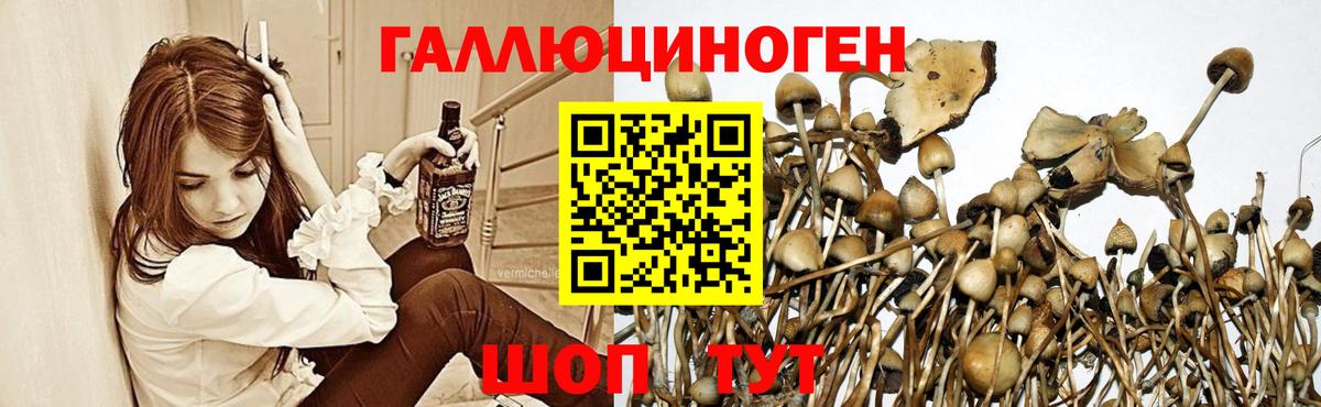 Муром  Псилоцибиновые грибы мухоморы  цены   Вход с VPN 