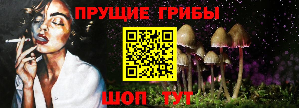 Псилоцибиновые грибы мицелий Муром