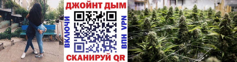 Конопля сатива  купить  цена  Муром 